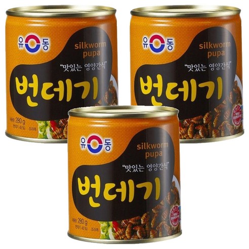 유동 번데기 280g 3개 통조림