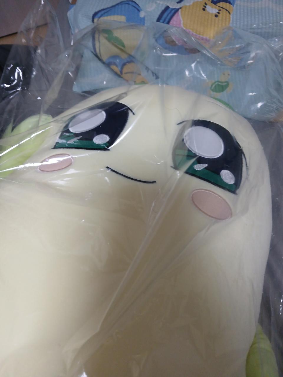 한정)꼭 안아줘요 양파쿵야 바디필로우