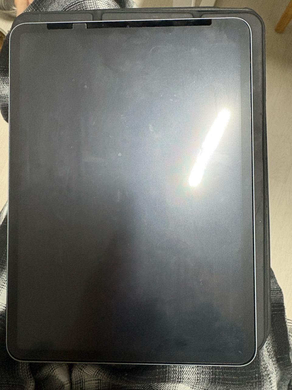 아이패드 에어 4세대 스카이블루 256g