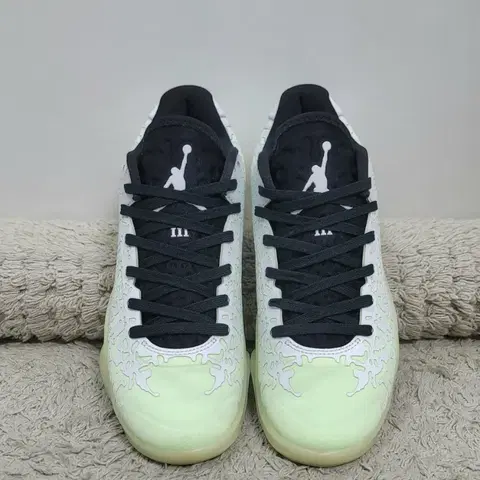 나이키 조던 자이언3 240