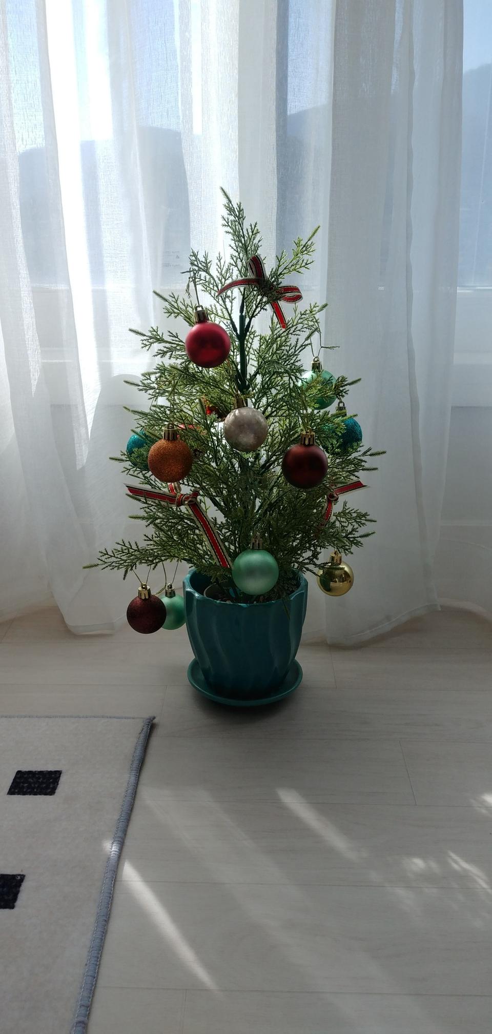 조화나무(화분포함.장식은포함아님)