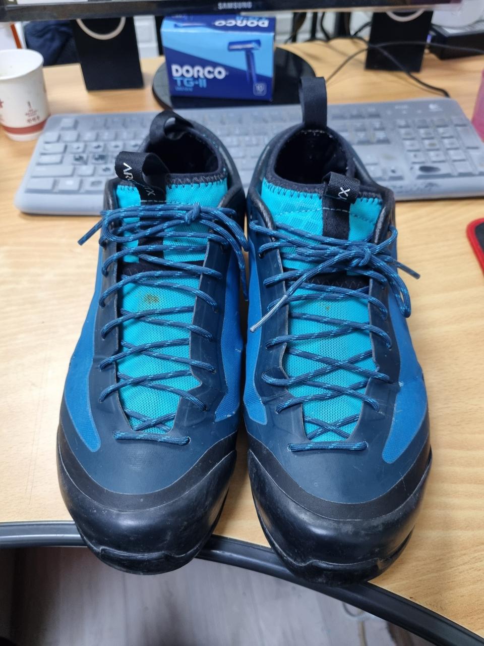 [275/정품] 아크테릭스 아크럭스 fl gtx