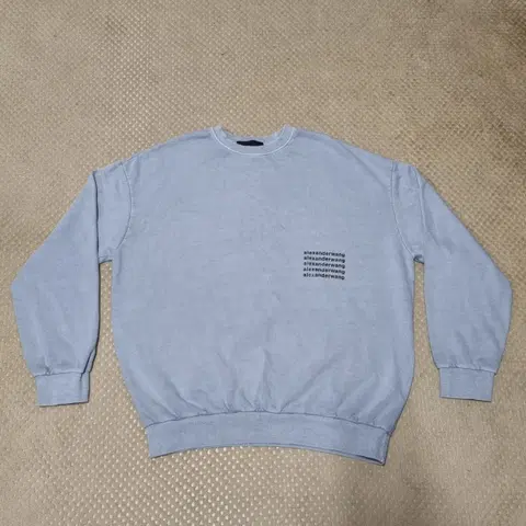 (110) 알렉산더왕 로고 프린트 맨투맨