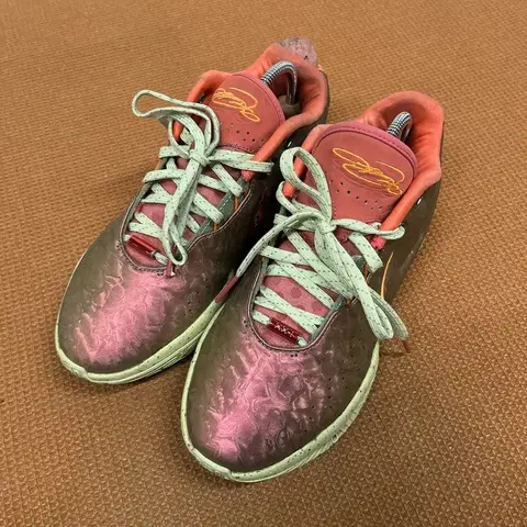 나이키 르브론 21 퀸 콘치 EP 농구화 운동화 240 G08208