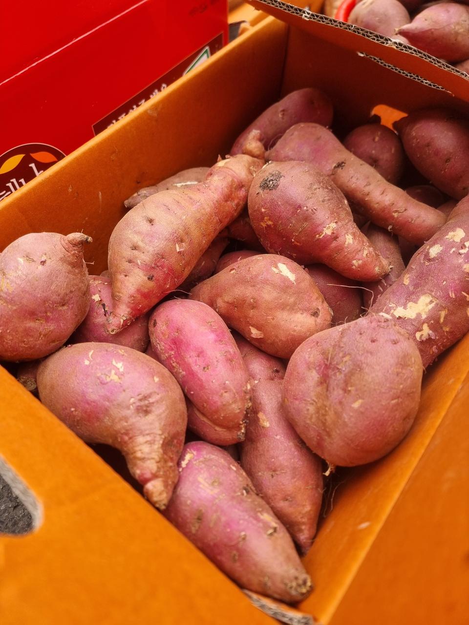 해남꿀고구마못남이10키로25000원택비포함