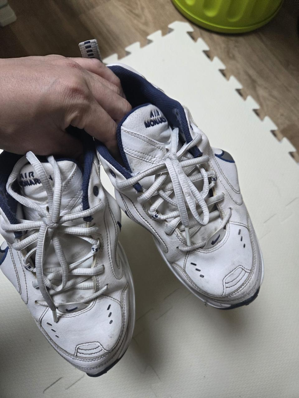 마틴로즈 모나크 260