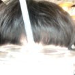 profileImg
