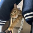 profileImg