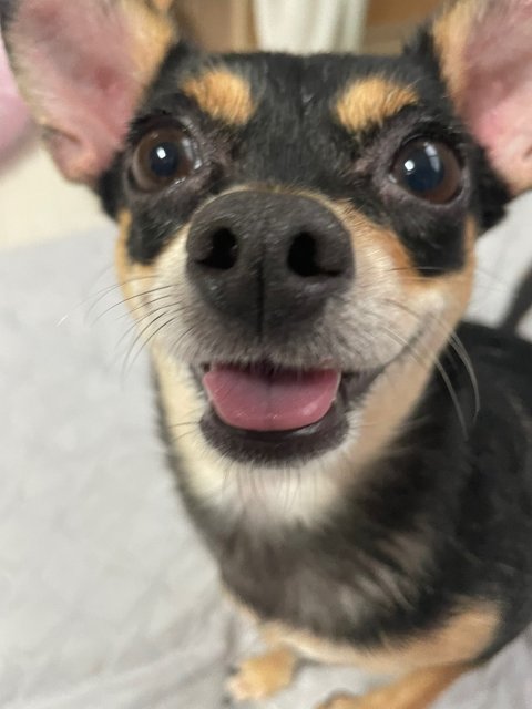 profileImg
