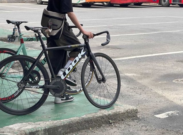 profileImg