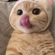 profileImg