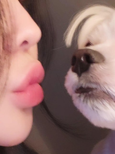 profileImg