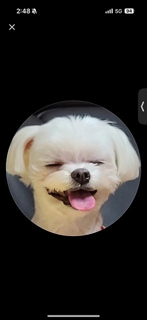 profileImg