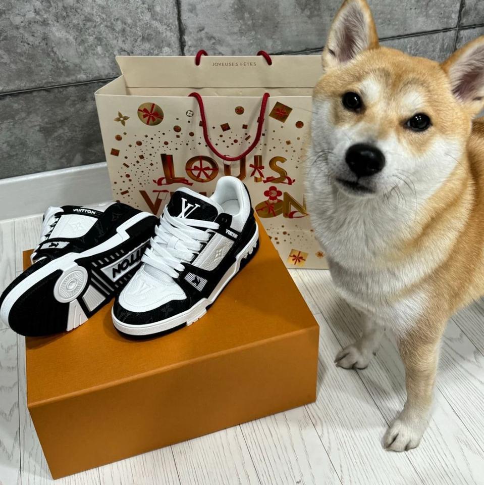 루이비통 트레이너 남성 스니커즈