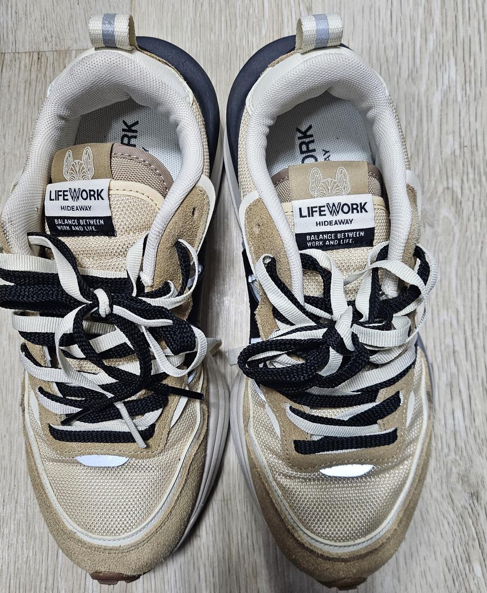 라이프워크신발