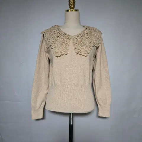 모티브 카라 니트티