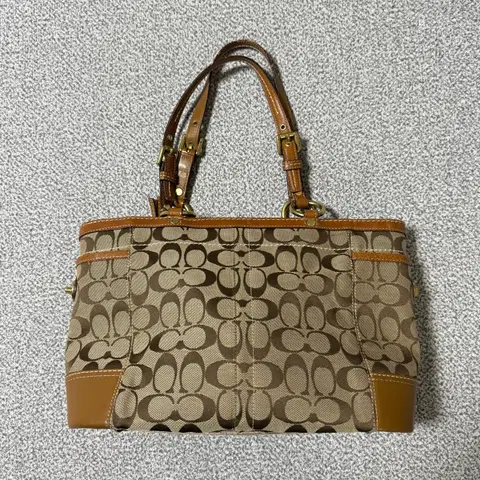 Coach 코치 시그니처 토트백