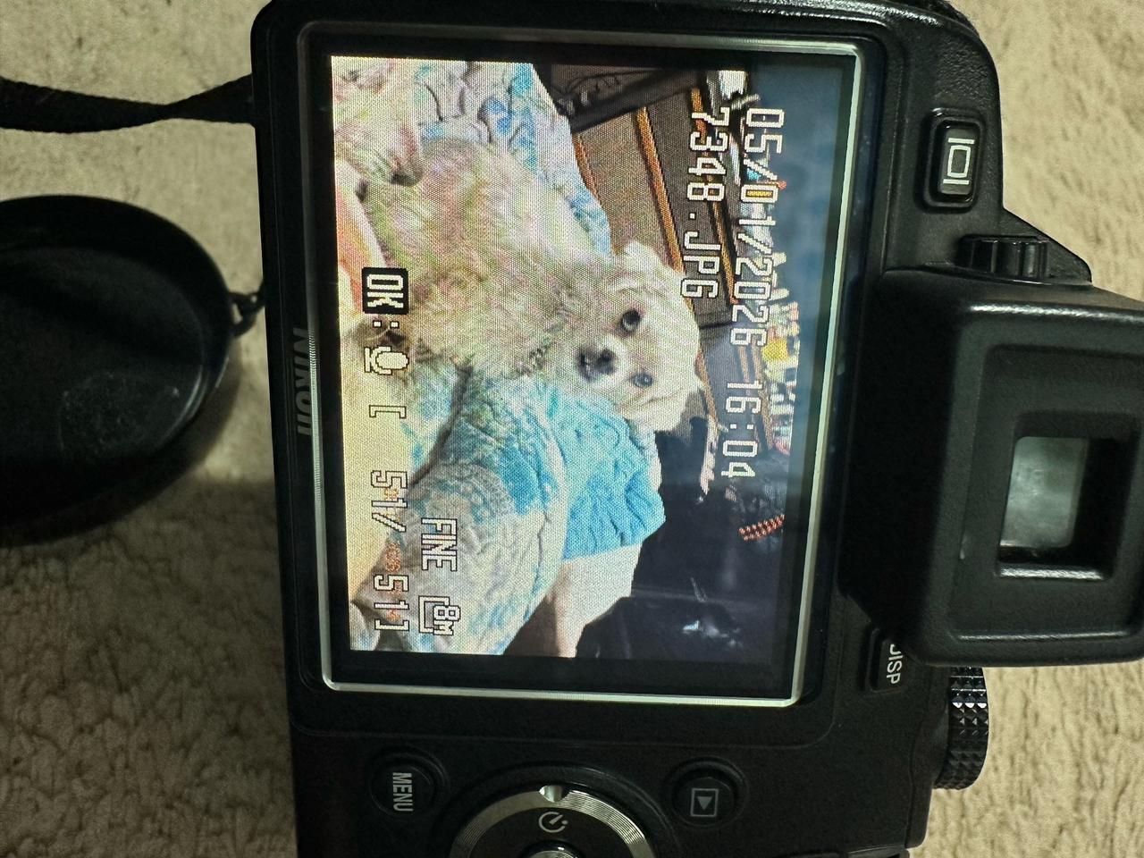 니콘 COOLPIX P80 (빈티지 하이엔드 디카)팝니다