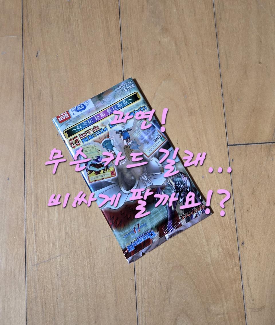 디지몬 테이머즈 진화 카트!