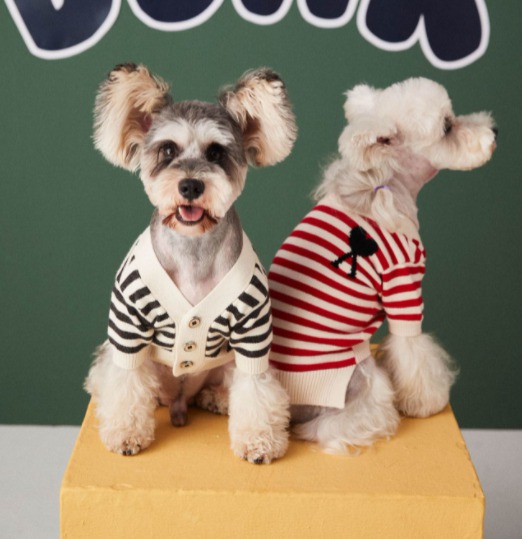 스트라이프 강아지 니트 티셔츠 레드