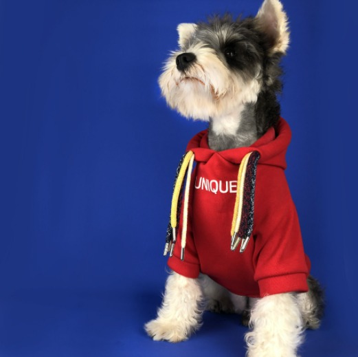 유니크 레드 강아지 후드티셔츠