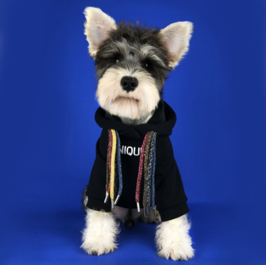 유니크 블랙 강아지 후드티셔츠