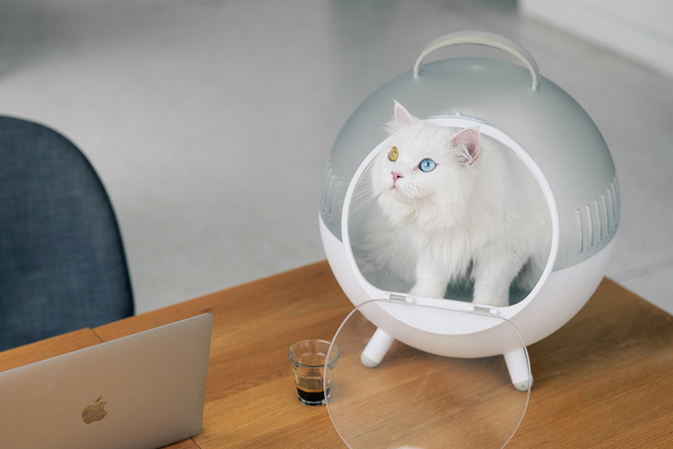 퓨리테일 고양이 이동하우스