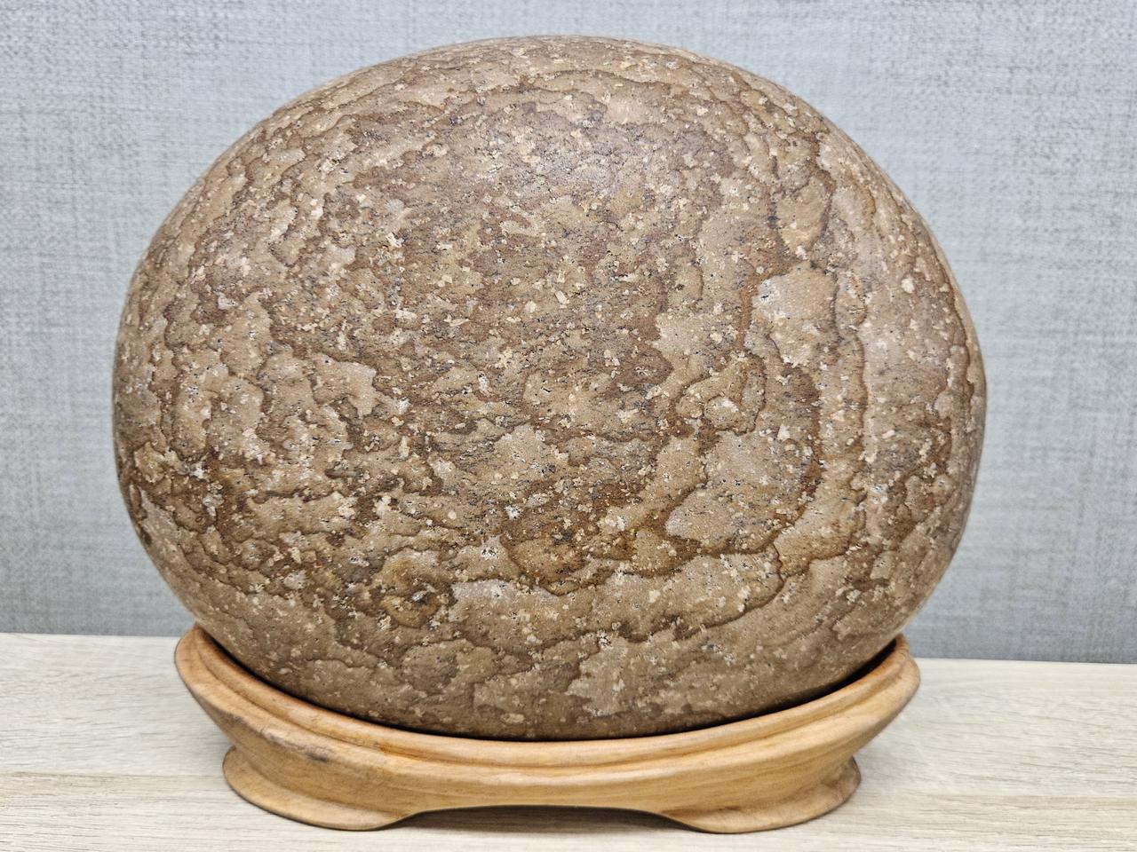 수석 돌 목문석 꽃돌 겨울 동백꽃 문양석 무늬석 수집