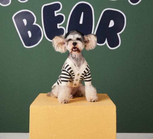 블랙스트라이프 강아지 니트 가디건