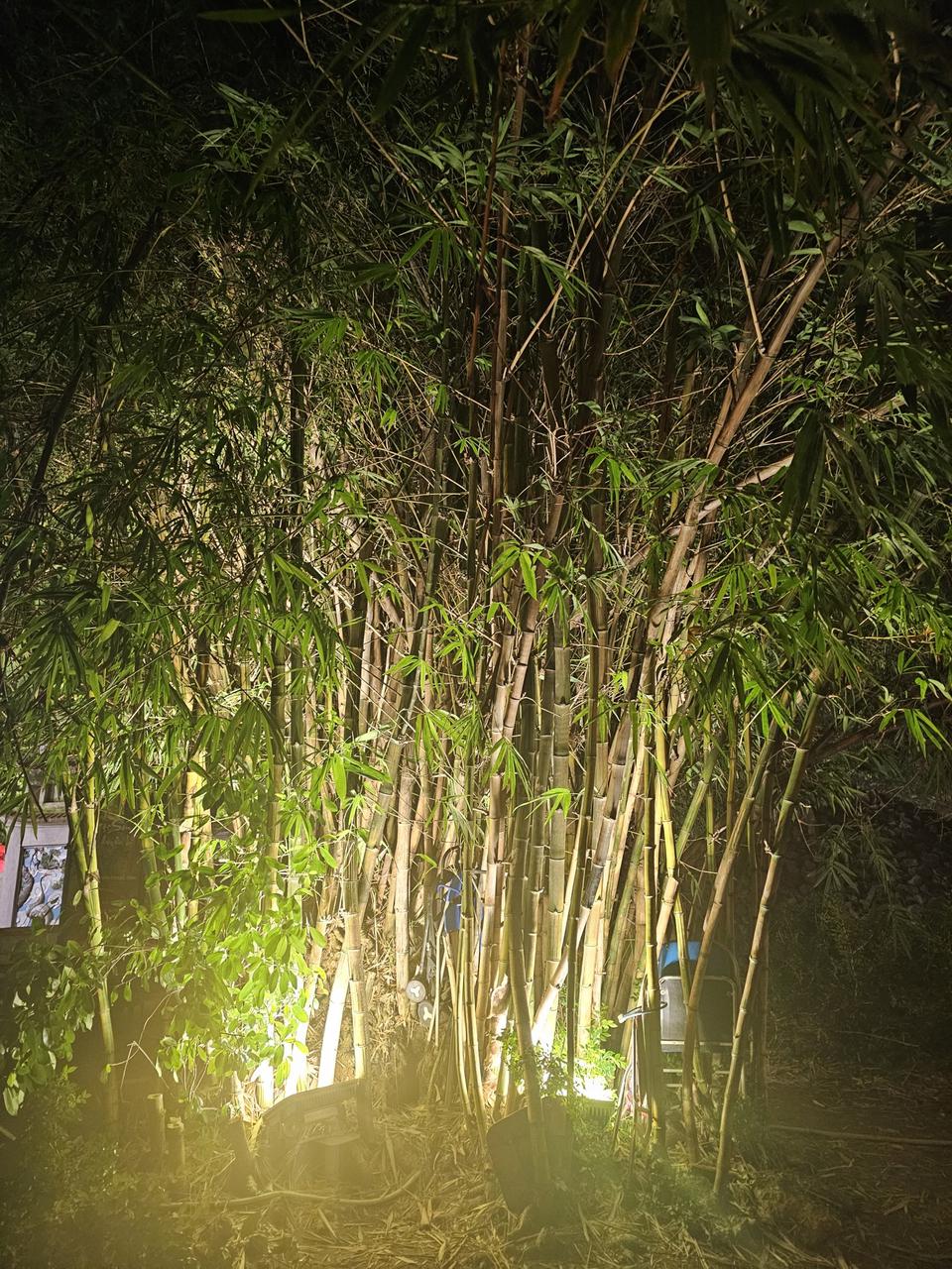 [신품]  뉴발란스 245mm