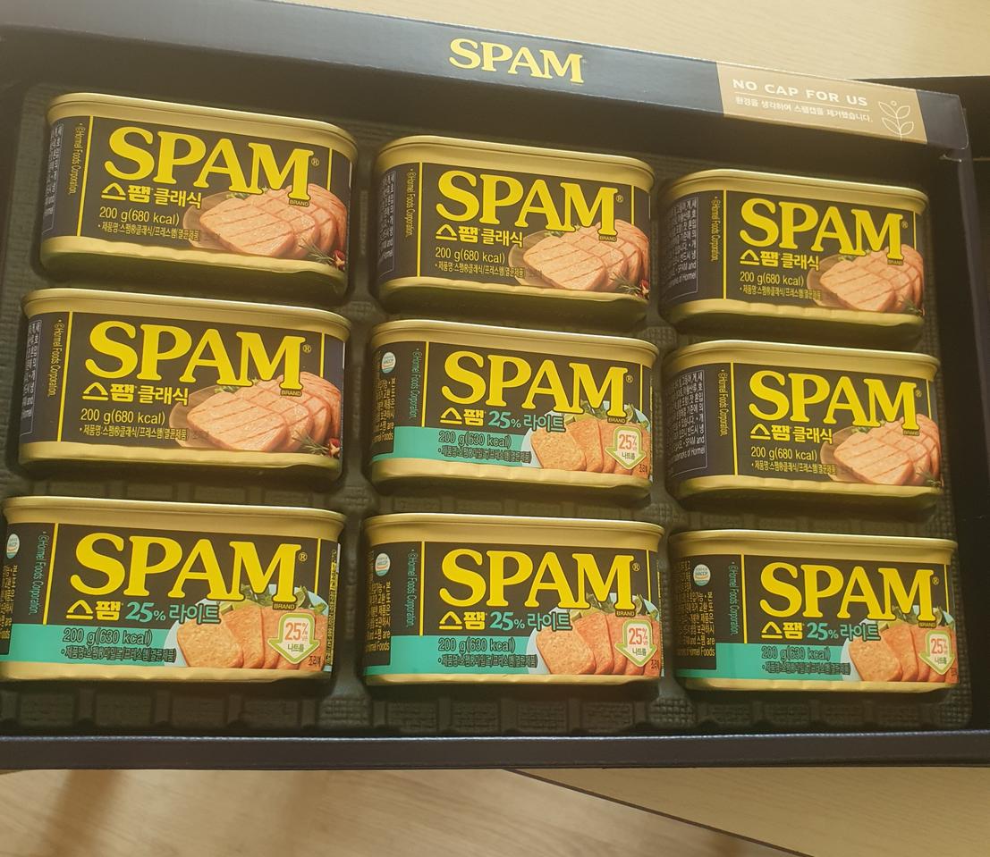 스팸(클래식과라이트)200g×9개