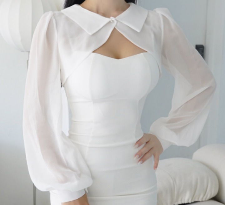 시스루 셔링 트임 캡 시폰 퍼프 블라우스 정장 셔츠 남방 섹시 파티 홀복