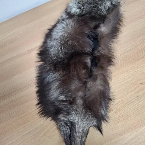 여우목도리 사가폭스