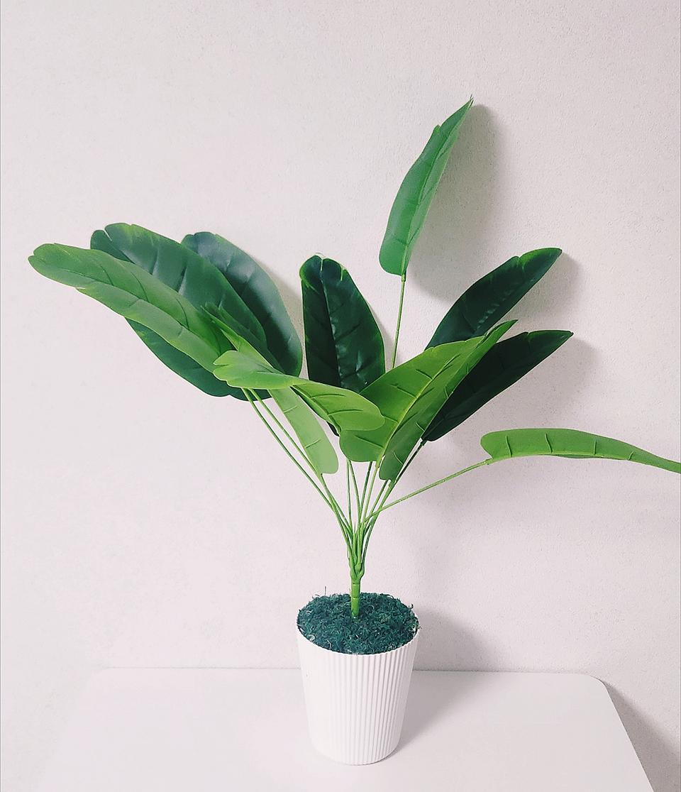 새상품)바나나나무 조화 이케아화분 인테리어소품