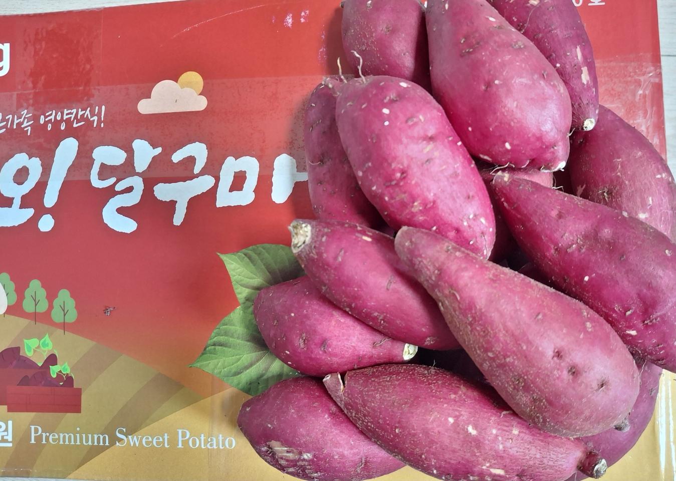 오!달구마달콤하고 촉촉한 호박고구마5kg