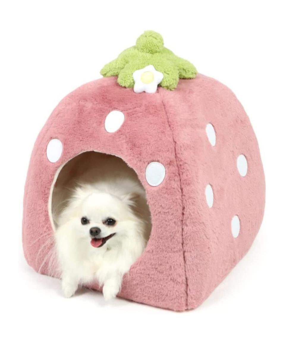 [새제품] 펫파라다이스 딸기 펫 하우스/ 소형 강아지집