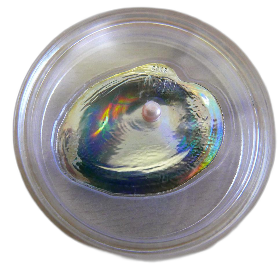 팔라우 2013 바다의 보물 시리즈- 진주 조개 형상,홀로그램 은화