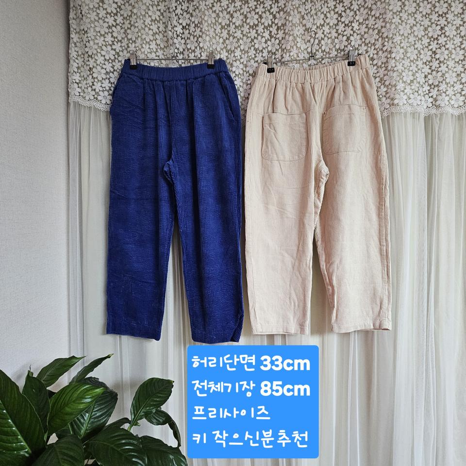코듀로이 바지 블루 베이지 프리사이즈