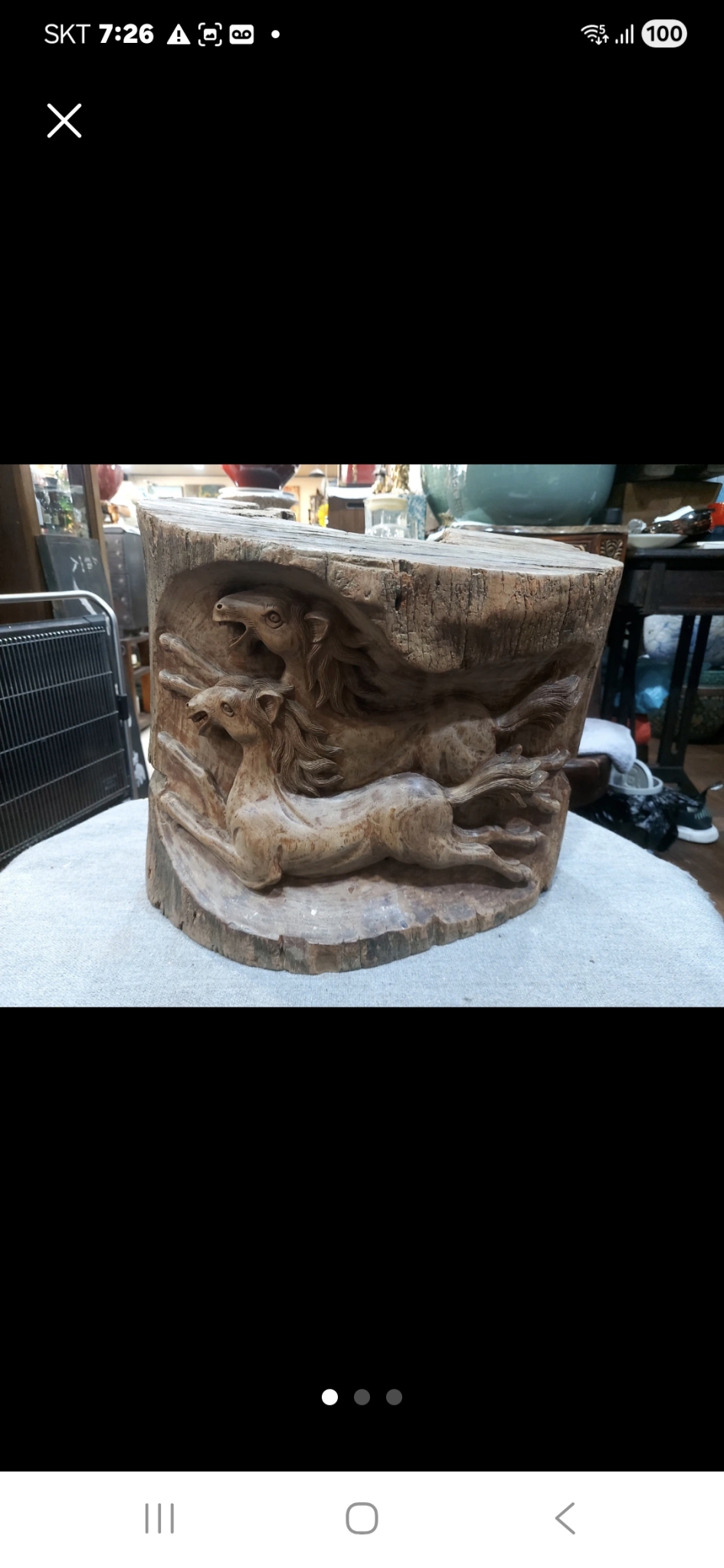 37    32센치 대추통나무 말조각 진품