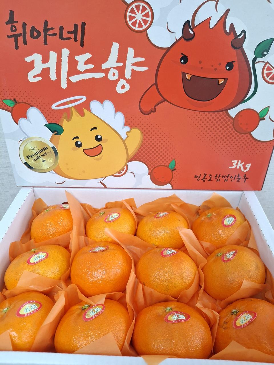 레드향3kg12과 무료배송입니다