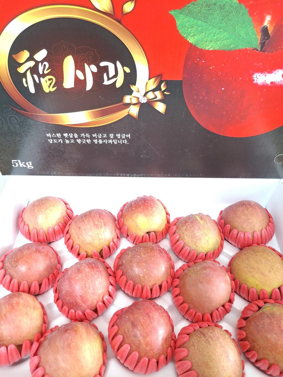 사과5kg15과 무료배송입니다