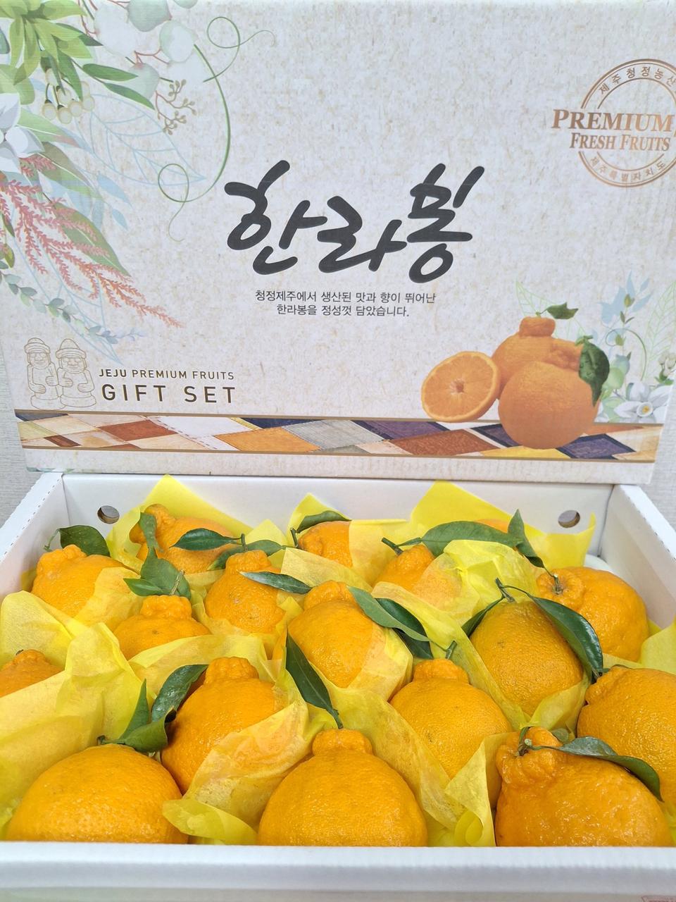 한라봉5kg17과 마지막 물량 무료배송입니다