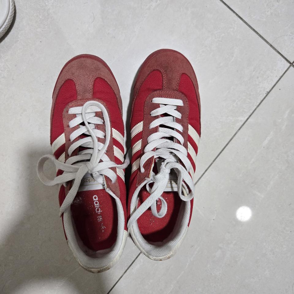 아디다스 드래곤