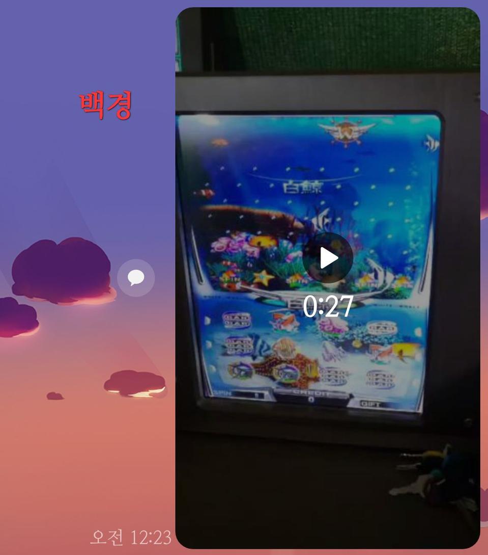 세븐랜드 &체리마스타 &당구장오락기