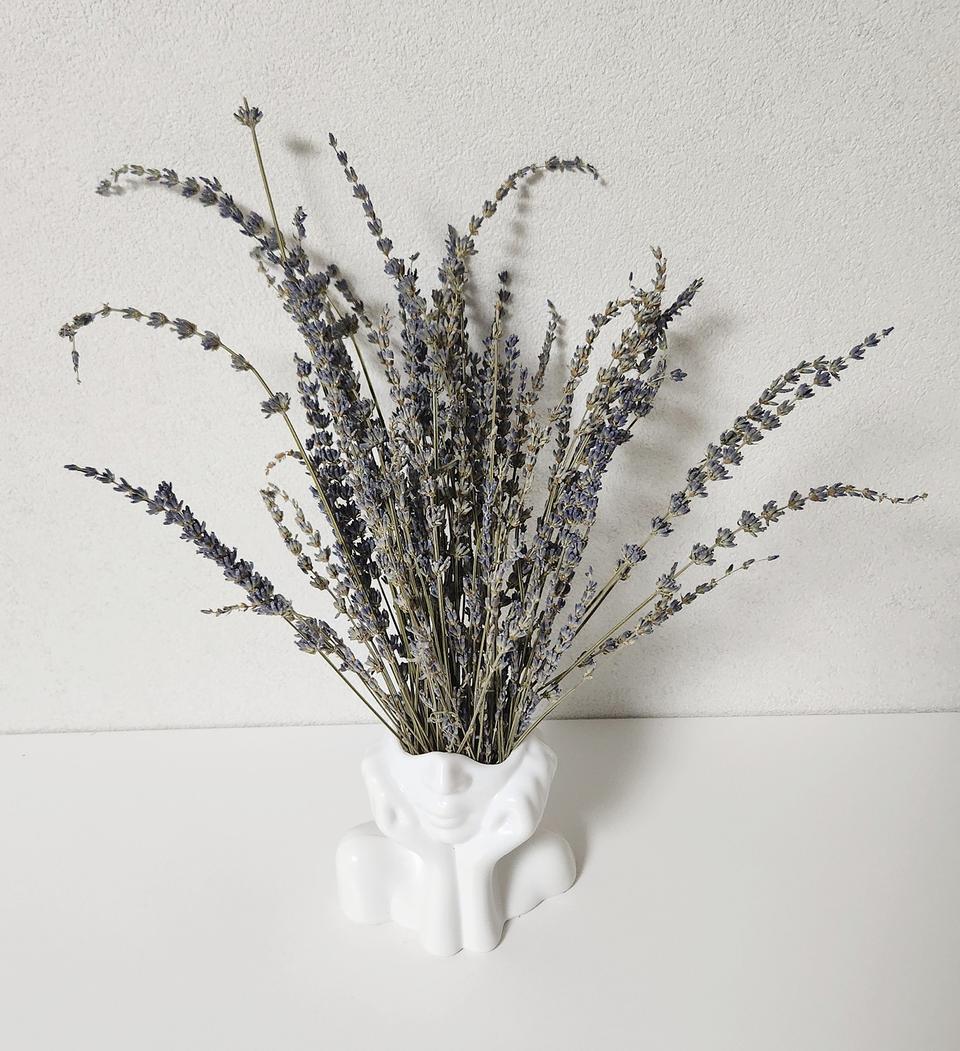 새상품)생화 라벤더 드라이플라워 조화 아님 얼굴화병