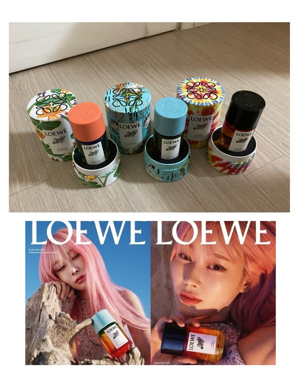 [국문택향수] 로에베 파울라 (폴라스) 이비자 오드뚜왈렛 edt 50ml