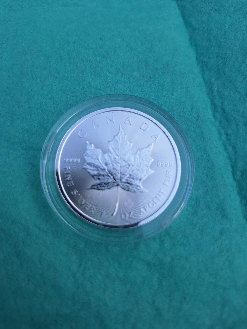 메이플2025년1온스 은화