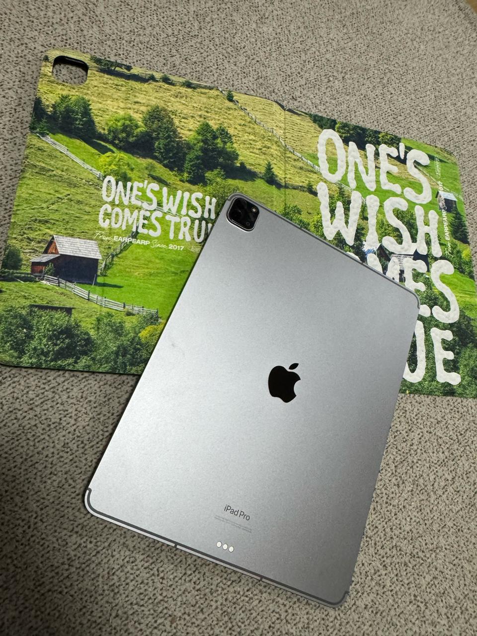 아이패드프로6 M2 12.9 256GB 5G 셀룰러+wifi