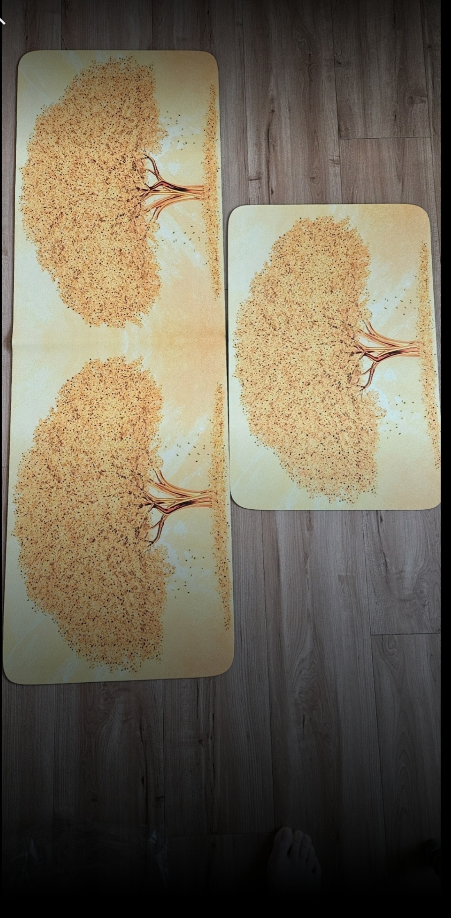 금전운 발매트세트