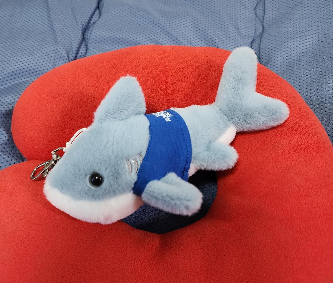 노스페이스 뚜루 애기상어 키링